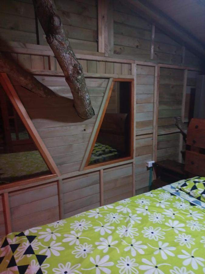 La Casita Del Arbol Guaduas Cundi. Hotel Екстериор снимка