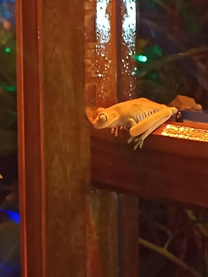 La Casita Del Arbol Guaduas Cundi. Hotel Екстериор снимка